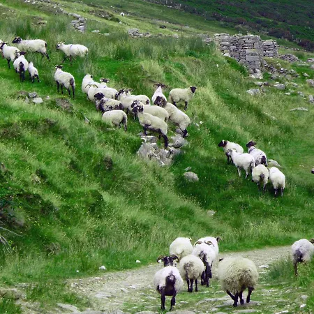 Achill Island By The Sea - Idyllic Views, Sleeps 6, Full Kitchen, Fireplace And Wifi Throughout Semesterbostad Achill Sound