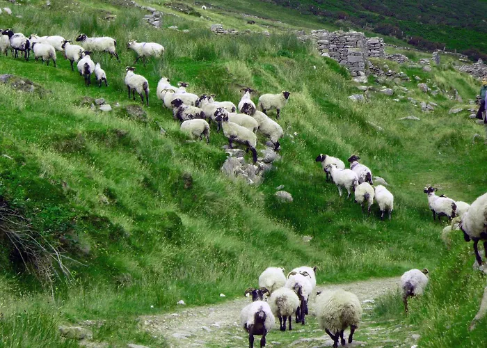 Achill Island By The Sea - Idyllic Views, Sleeps 6, Full Kitchen, Fireplace And Wifi Throughout Semesterbostad Achill Sound