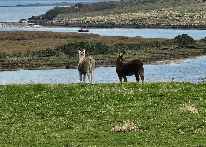Casa vacanze Achill Island By The Sea - Idyllic Views, Sleeps 6, Full Kitchen, Fireplace And Wifi Throughout *